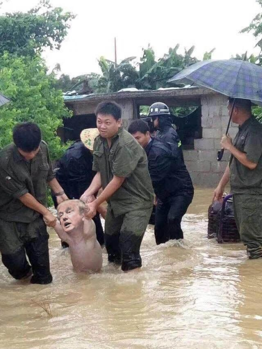 С помощью фотошопа спасенная свинья превращалась в самых неожиданных персонажей.